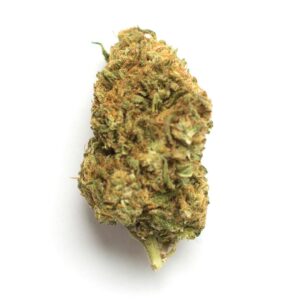 Black Domina Cannabis Strain