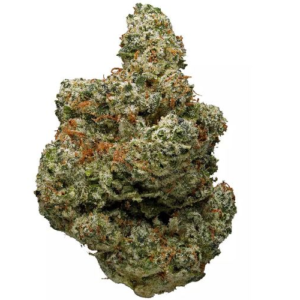 Blackberry Cannabis Strain EU