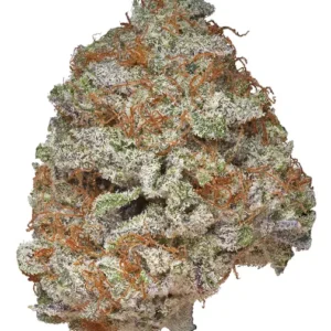 Blue God Cannabis Strain