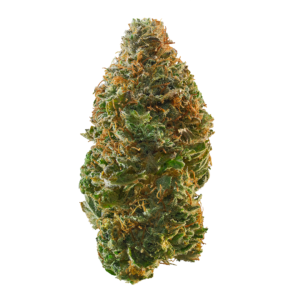 Buy Apple Jack Marijuana Strain
