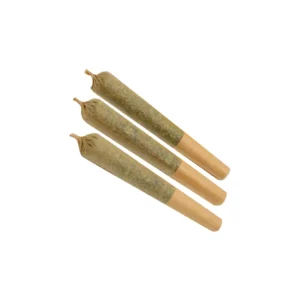 Buy Caviar Joints – Orange Cookies – Indica