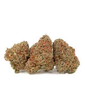 Buy God Bud Marijuana Strain