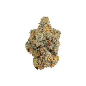 Buy White Knight Cannabis Strain