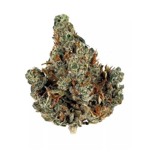Holy Grail Cannabis Strain