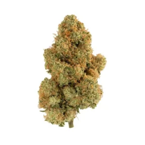 Jack Frost Cannabis Strain