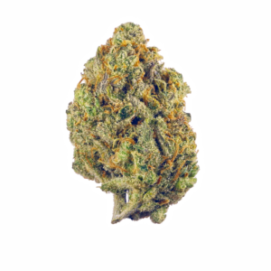 Jenny Kush Marijuana Strain