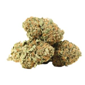 Lemon Tree Cannabis Strain