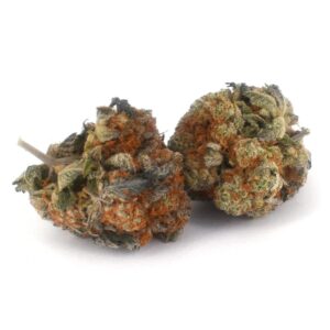 Orange Sherbet Marijuana Strain